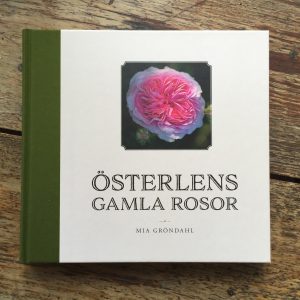 österlens gamla rosor