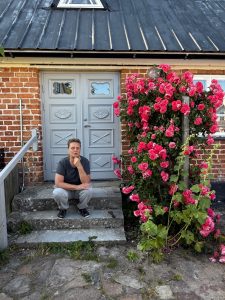 Klätterrosen Rosarium Uetersen trivs trots den torra växtplatsen i stensättningen vid trappan till huset 9992