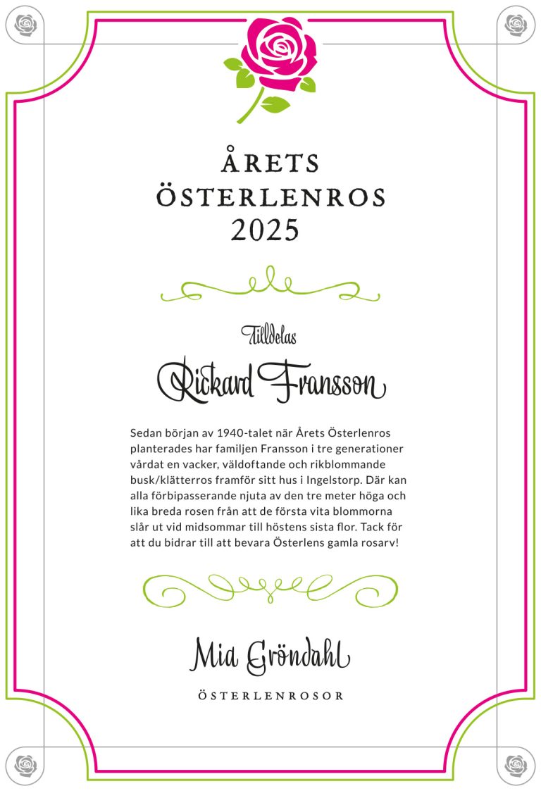 Diplom Årets Österlenros 2025
