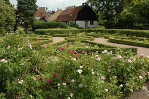 Bergengrenska trädgården