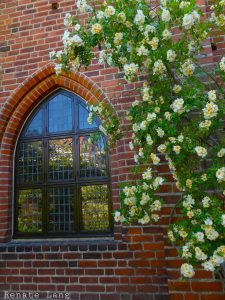 Rosariet Ystad Kloster