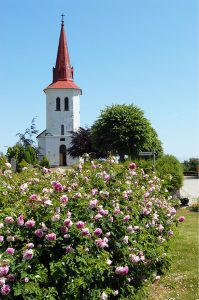 Almas ros vid Rörum kyrka