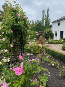 Rosenträdgård Kiviks hotell
